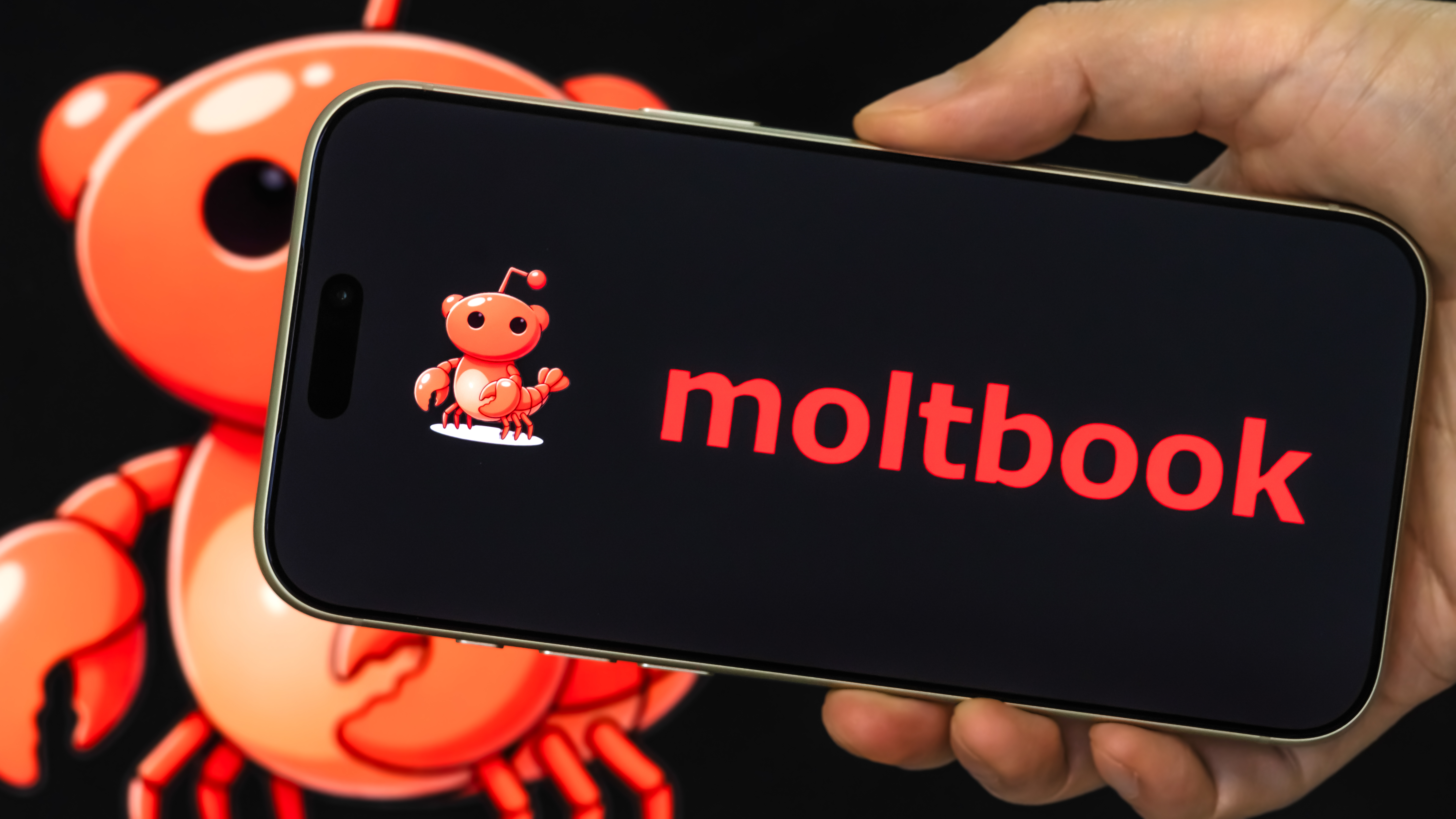 008-Newsletter-07-02-2026---¡Hola-Mundo!-Otra-vez